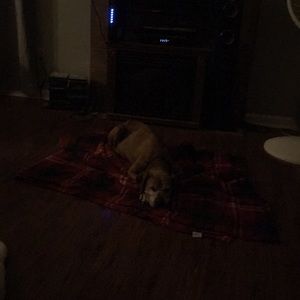 Meet your Posher, Robin